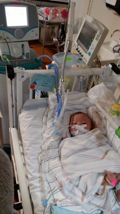 IMG_20170109_125619008